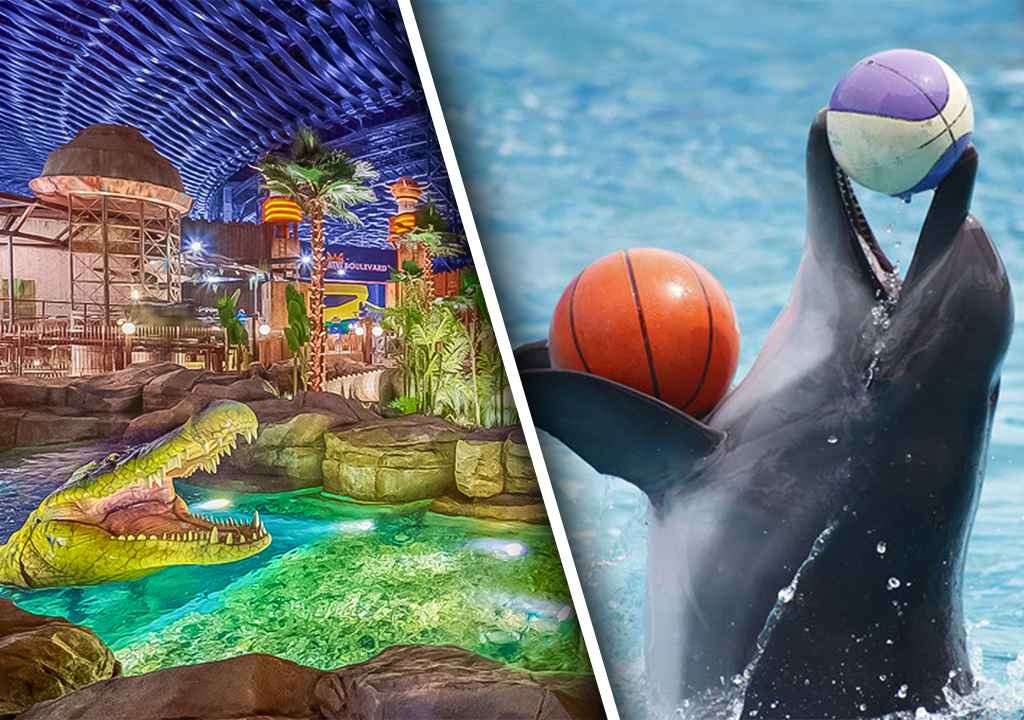 Dhow Cruise Marina photo