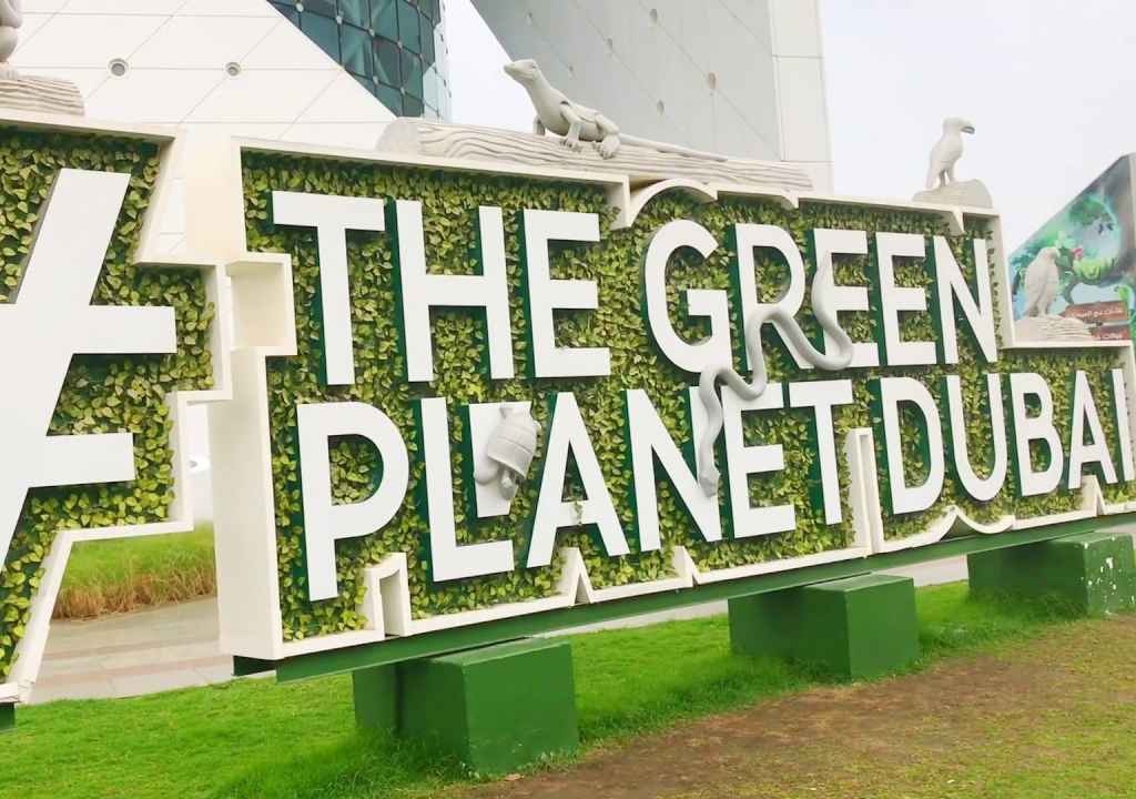 Green Planet Immersion