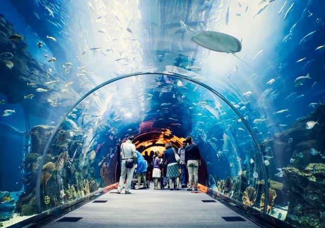 Dubai Mall Aquarium and Penguin Cove